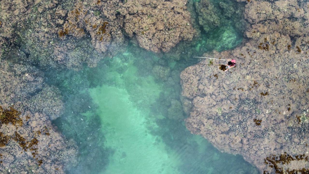 Cabana Fluir - Taipu De Fora - Peninsula De Marau Барра-Ґранді Екстер'єр фото
